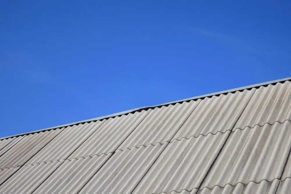Double Roof คือ