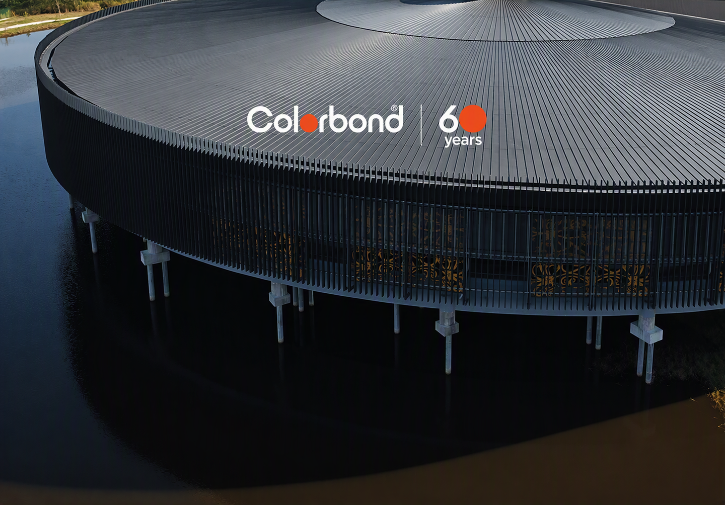 Asset Image