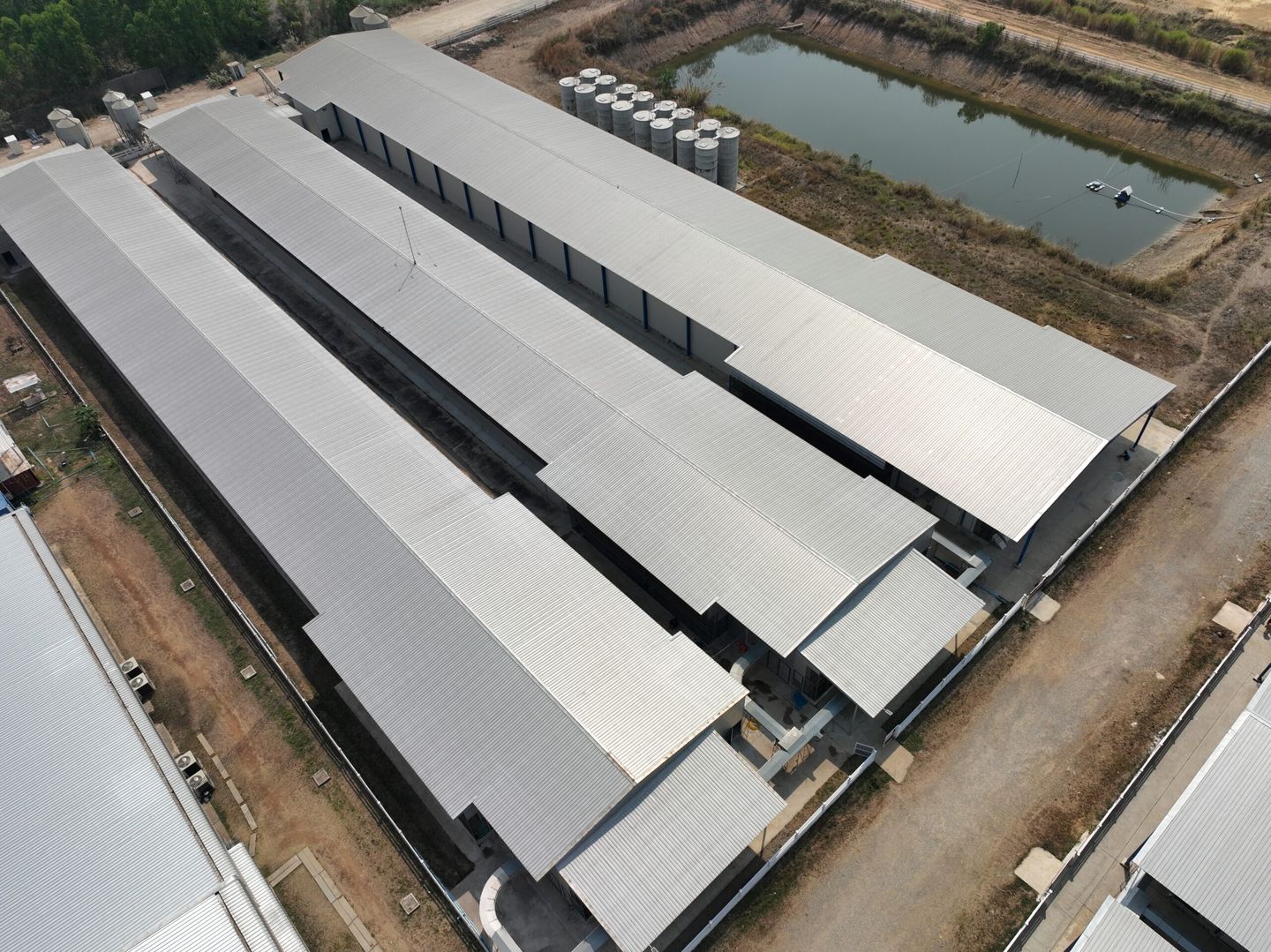 บลูสโคป เราตอบโจทย์ เรื่องการลงทุน - ฟาร์มไก่