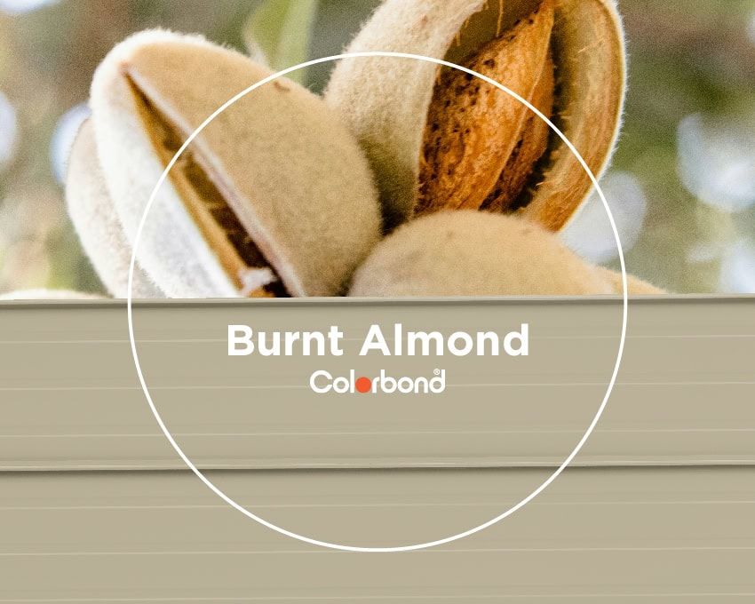 https://a.storyblok.com/f/247285/850x680/62d1f99c38/burnt_almond_colour.jpg