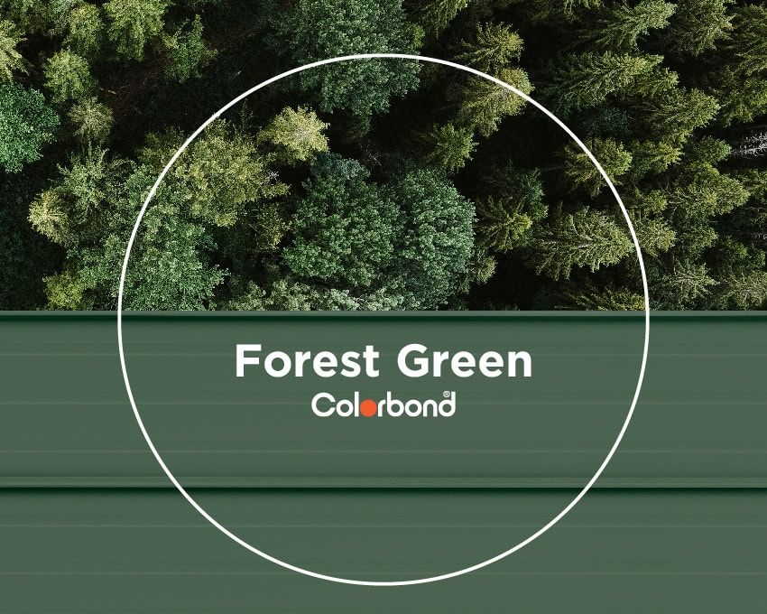 https://a.storyblok.com/f/247285/850x680/8fb67bbc33/forest_green_colour.jpg