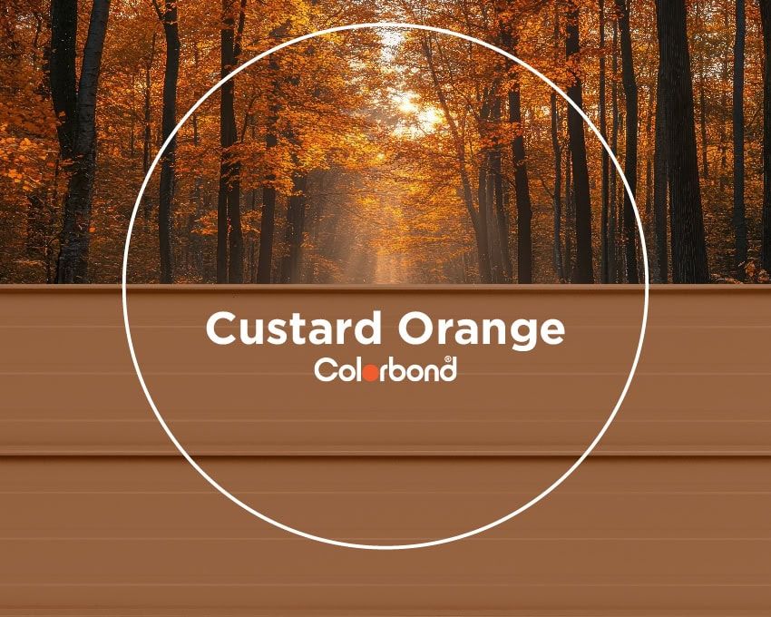 https://a.storyblok.com/f/247285/850x680/c8b1c72a17/custard_orange_colour.jpg